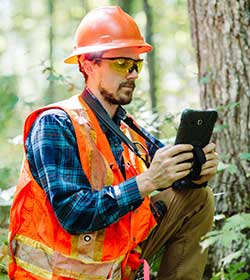 JM Forestry employee evaluating forest value